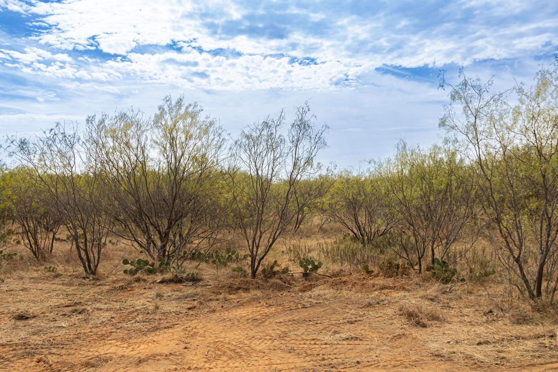 59 acres in Comanche County - photo 6