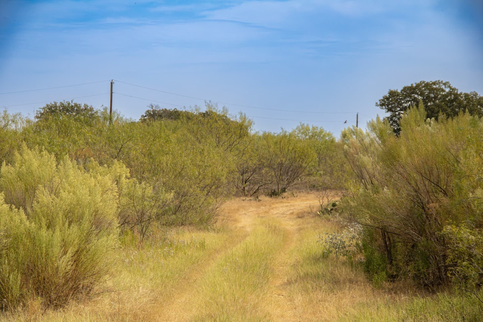 59 acres in Comanche County - photo 3