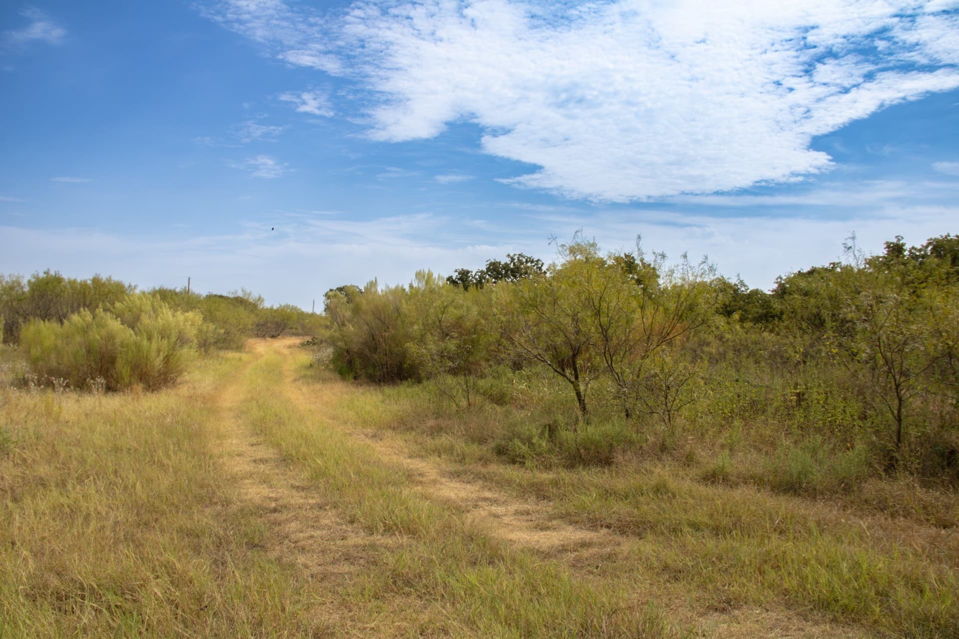 59 acres in Comanche County - photo 7