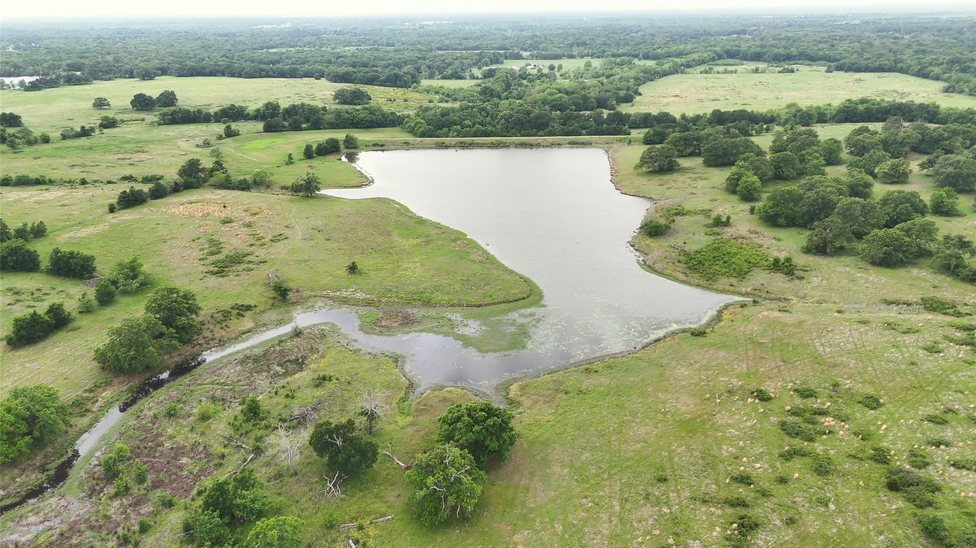 640 acres in Van Zandt County - photo 16