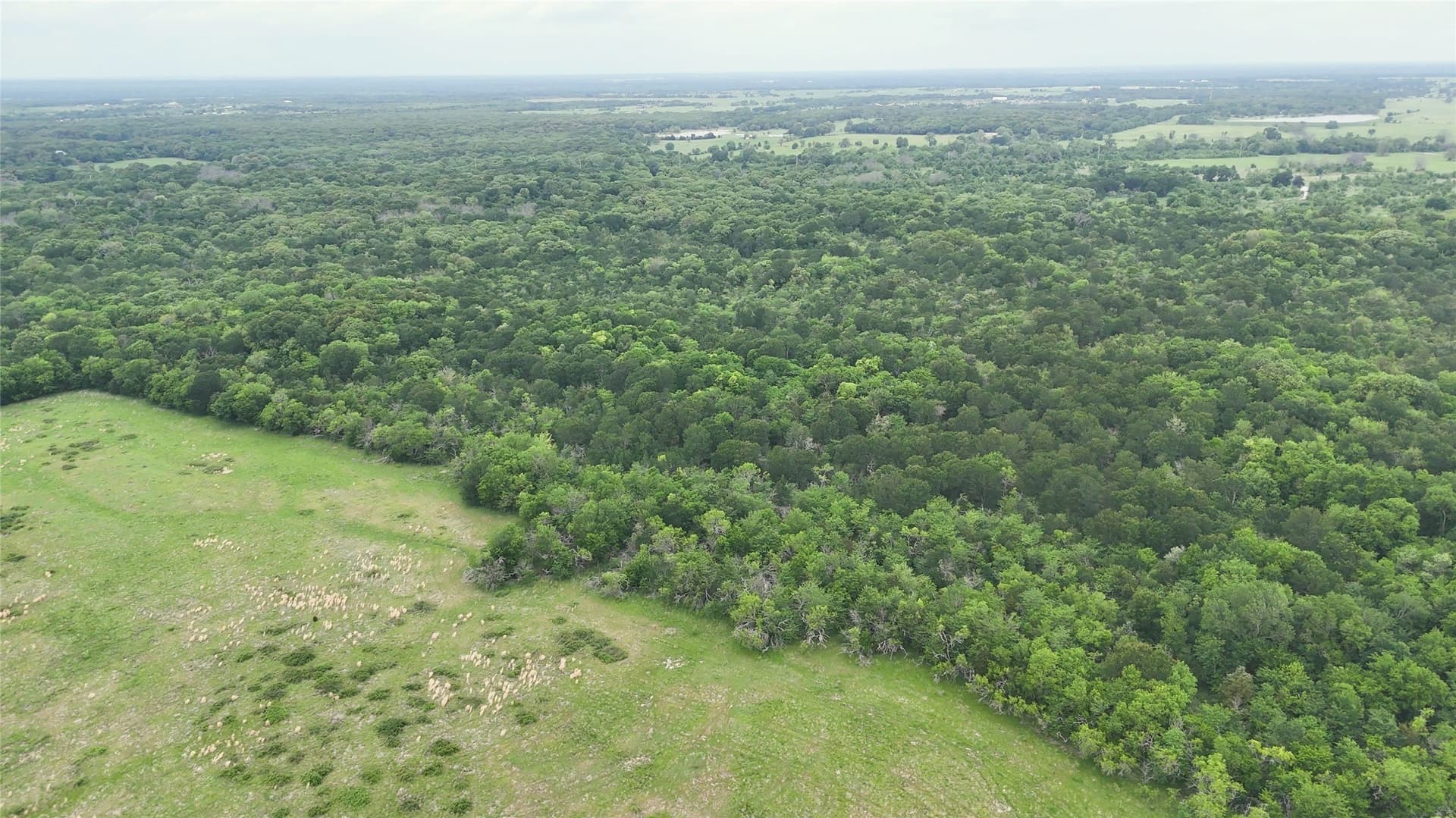 640 acres in Van Zandt County - photo 20