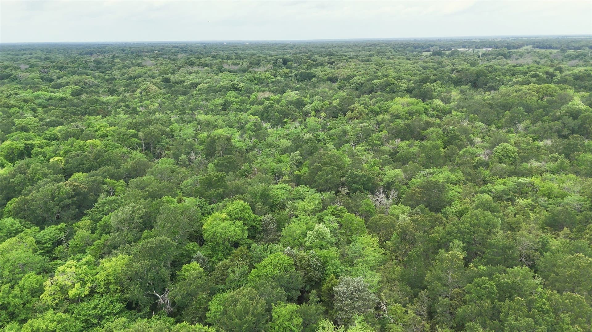640 acres in Van Zandt County - photo 22