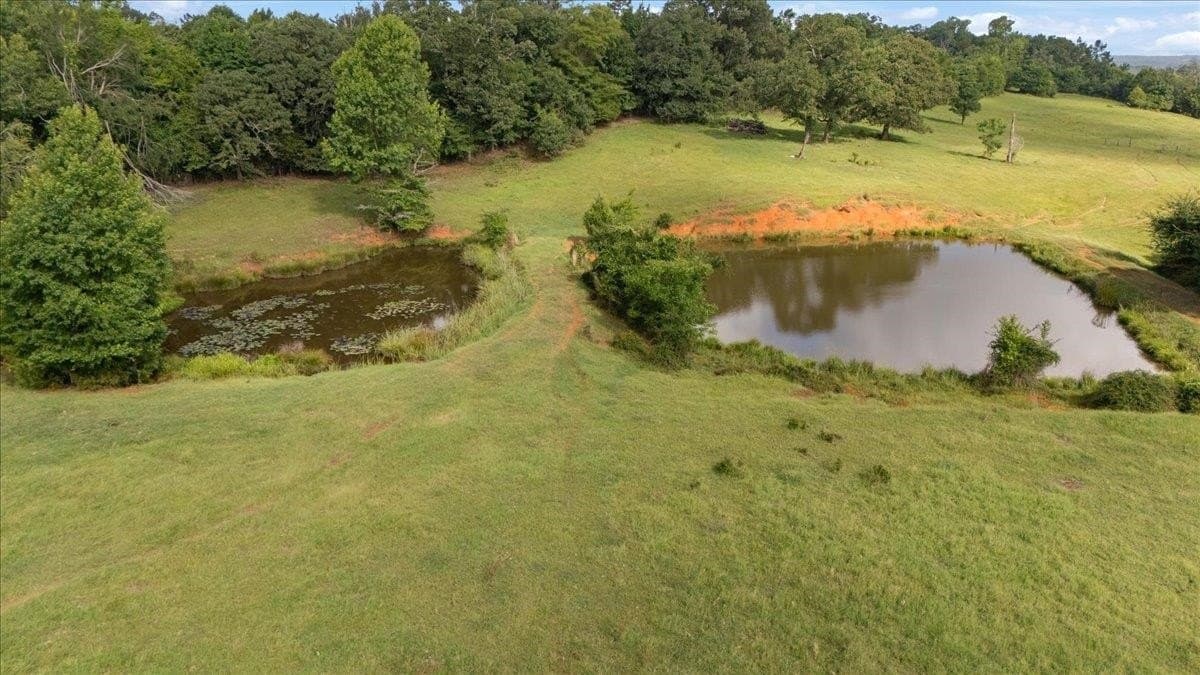 78 acres in Rusk County gallery image 3