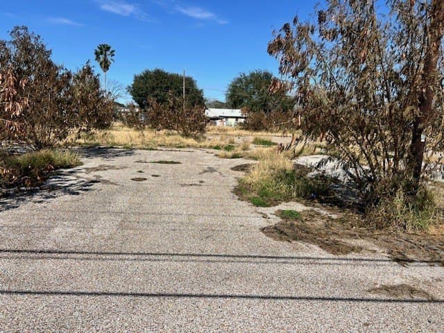 0.98 acres in Nueces County gallery image 4