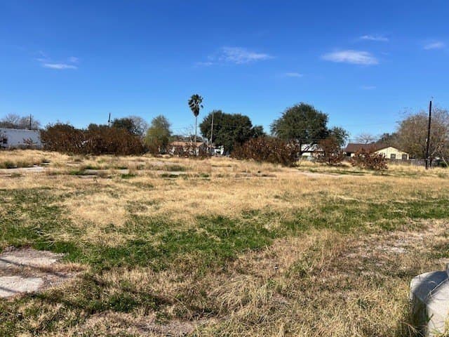 0.98 acres in Nueces County gallery image 3