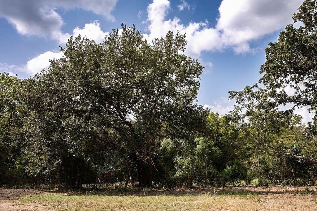 1 acres in Washington County featured view
