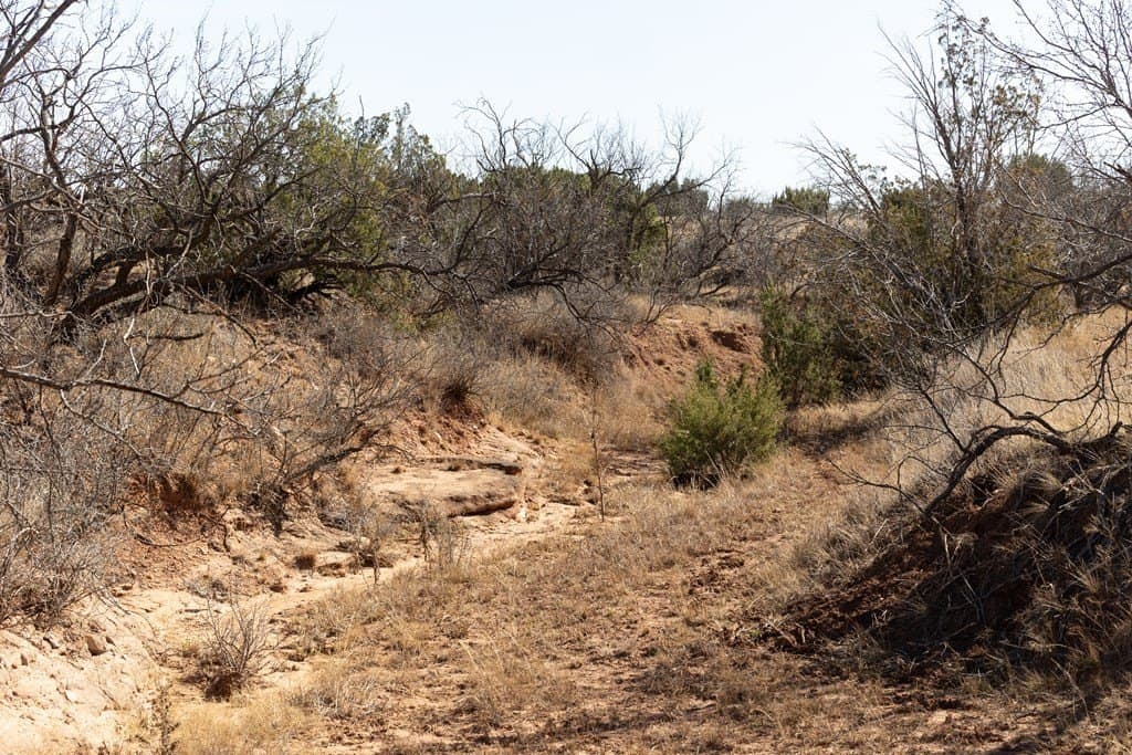 640 acres in Kent County - photo 9