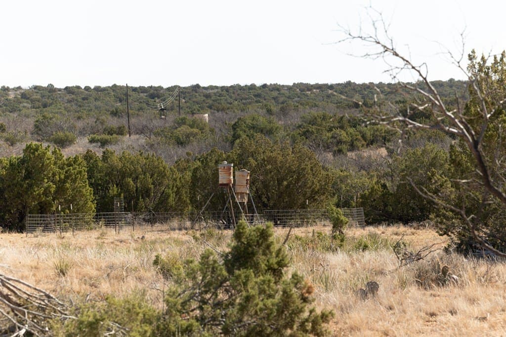 640 acres in Kent County - photo 8