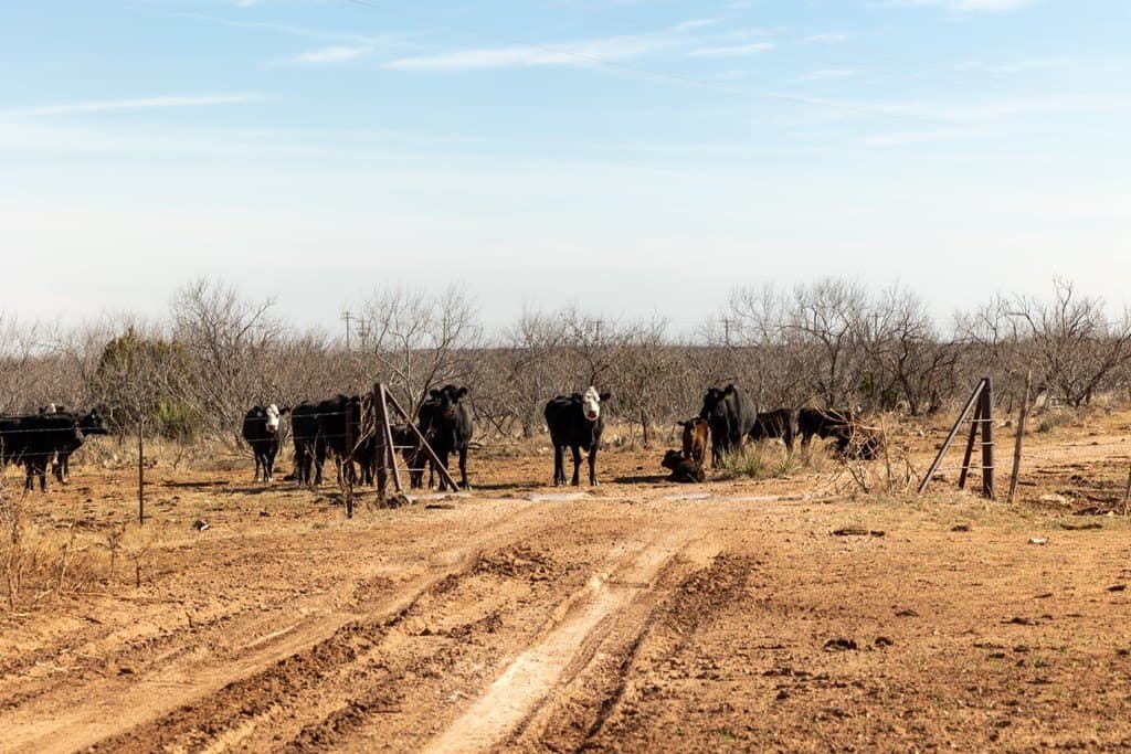 640 acres in Kent County - photo 7