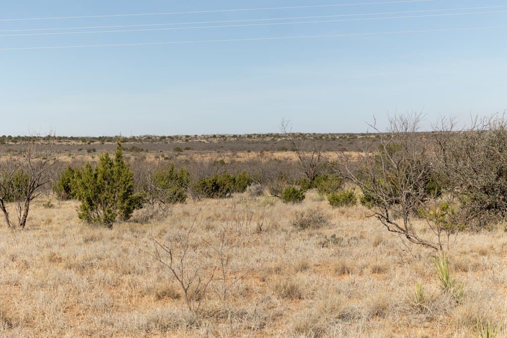 640 acres in Kent County - photo 10