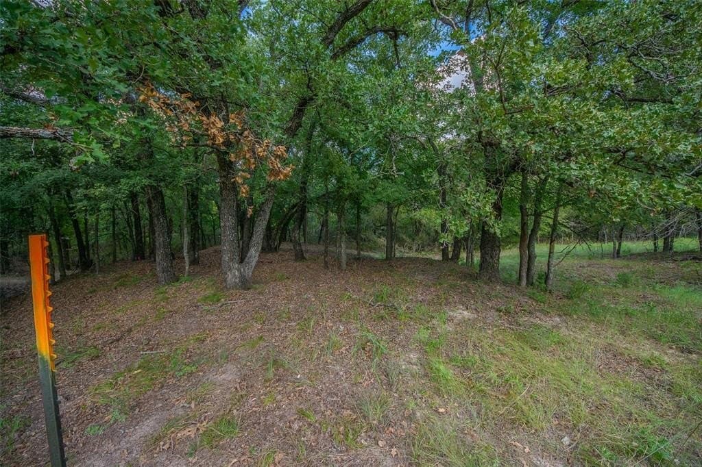 10.01 acres in Wise County featured view