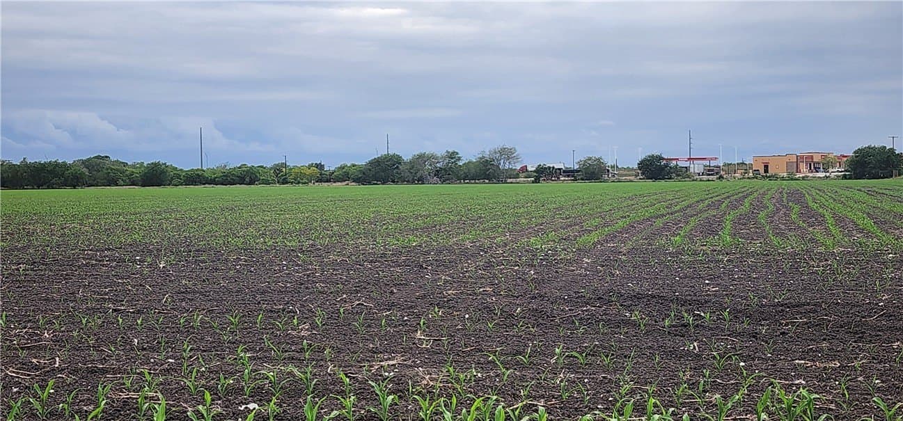 30 acres in San Patricio County gallery image 4