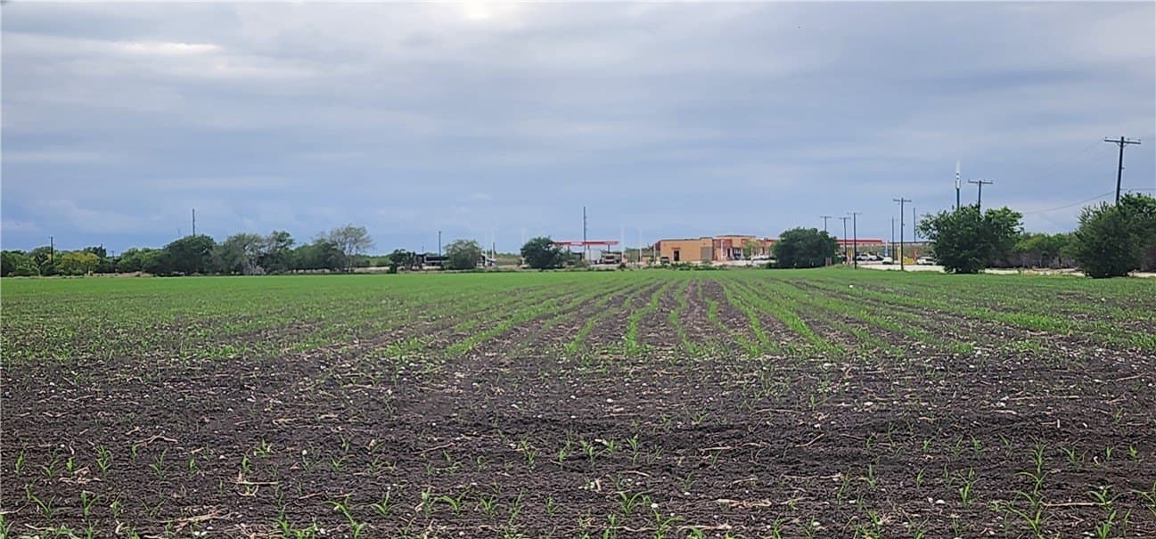 30 acres in San Patricio County gallery image 3