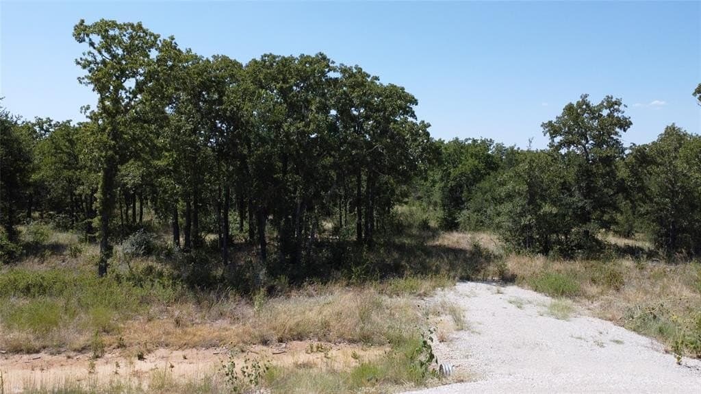 6.59 acres in Palo Pinto County gallery image 3