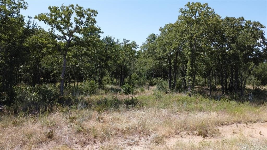 6.59 acres in Palo Pinto County gallery image 2