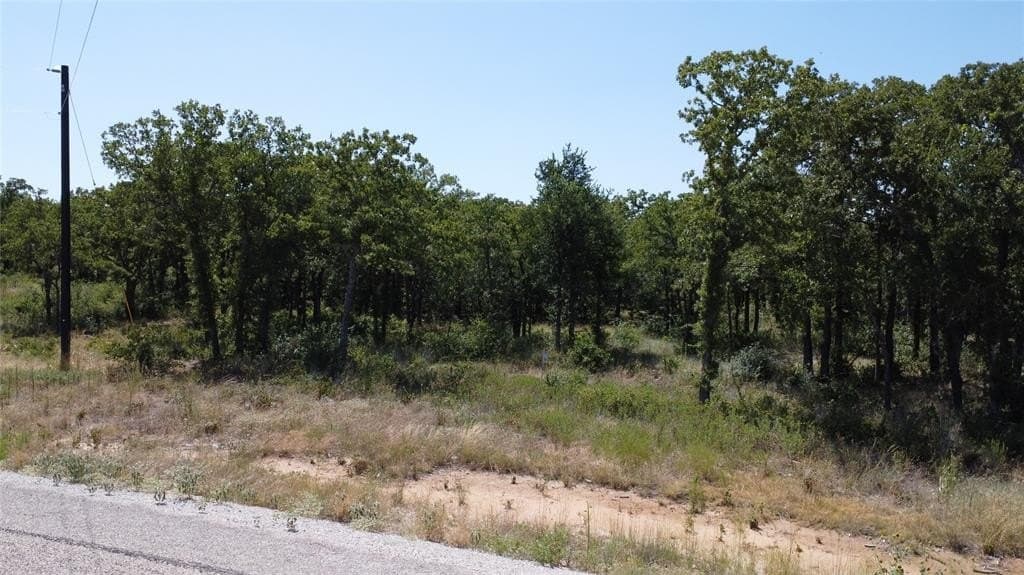 6.59 acres in Palo Pinto County gallery image 4