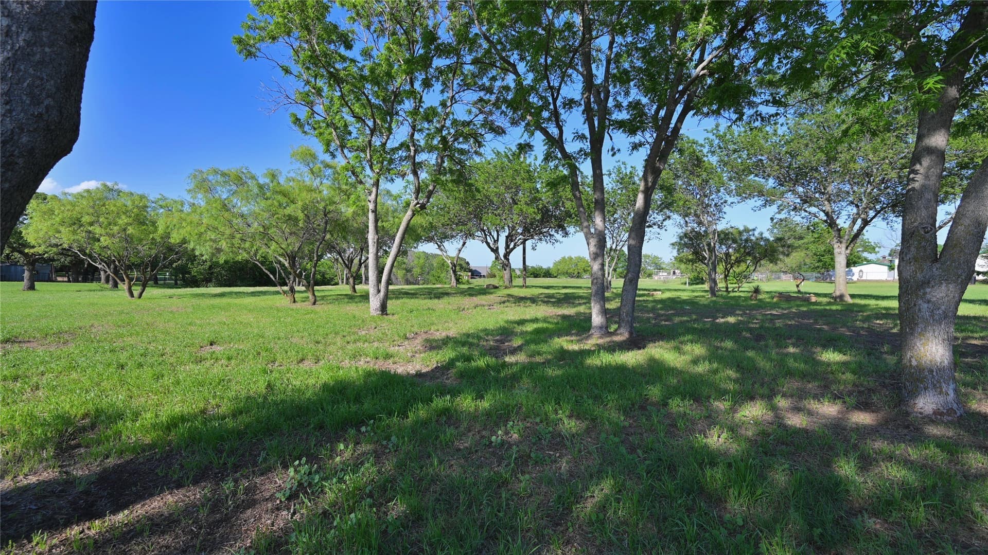 1.12 acres in Montague County gallery image 3