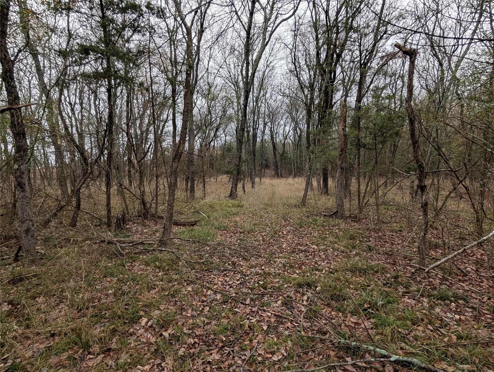 17.33 acres in Collin County - photo 9