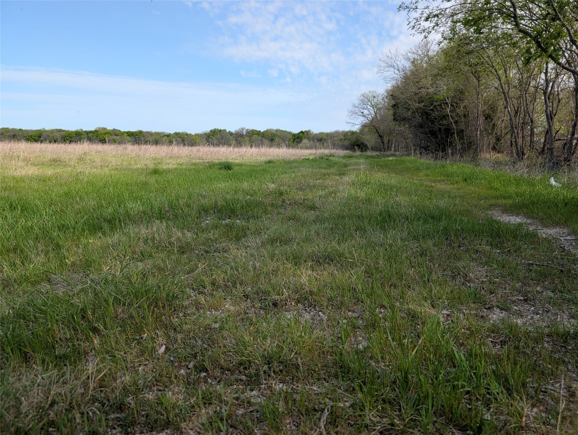 17.33 acres in Collin County - photo 10