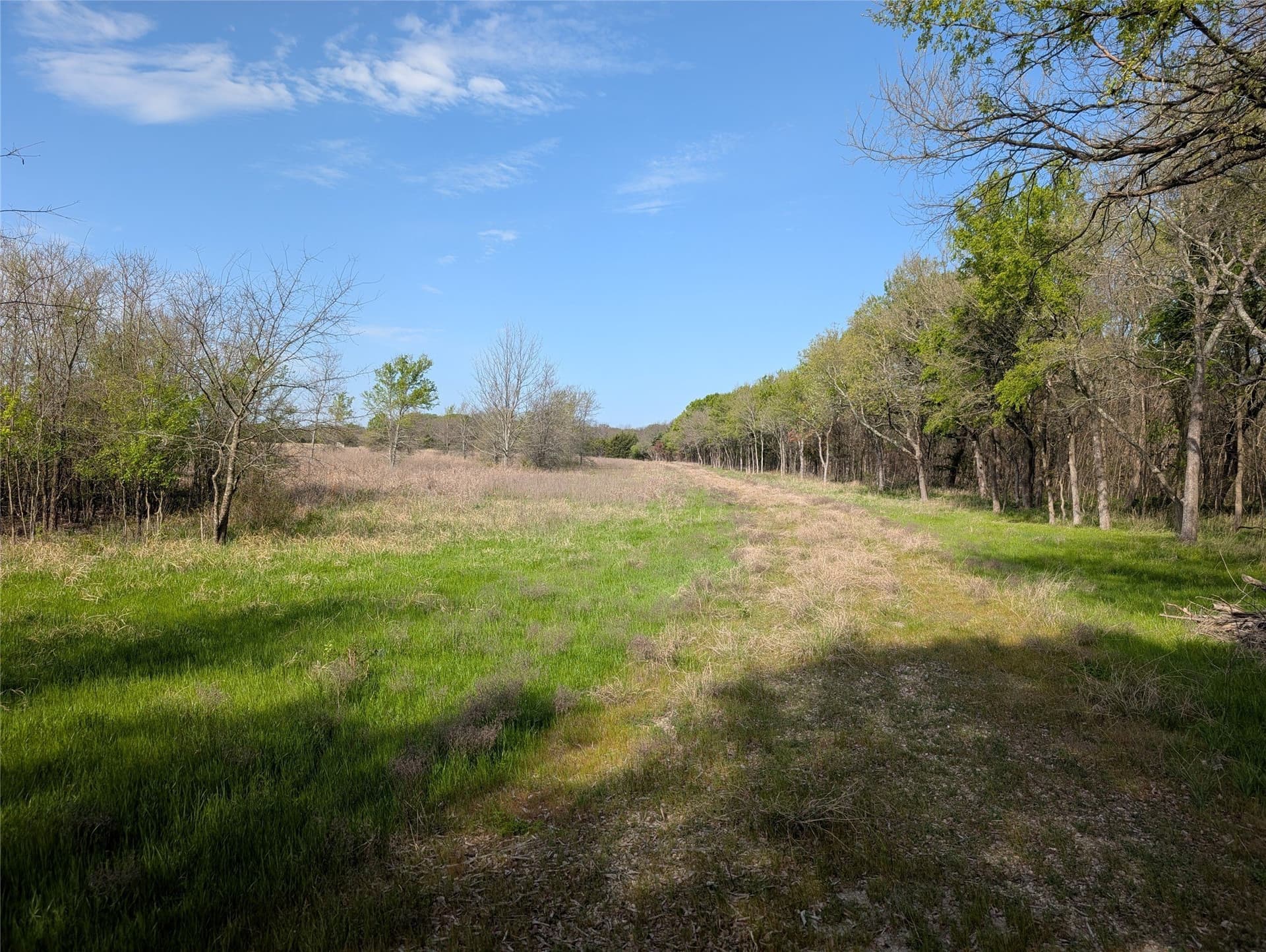 17.33 acres in Collin County - photo 12