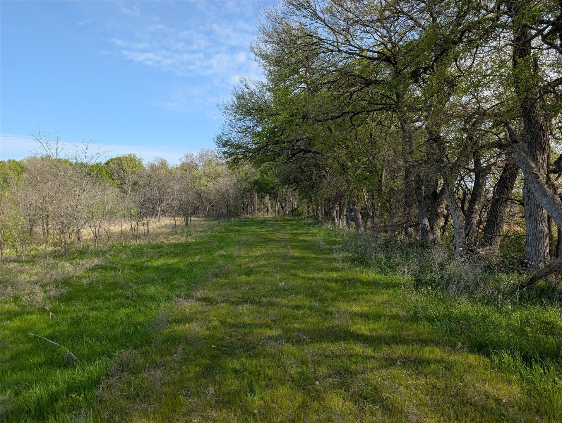 17.33 acres in Collin County - photo 11