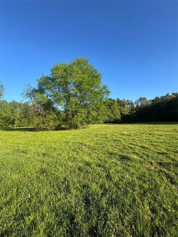 13.6 acres in Titus County featured view
