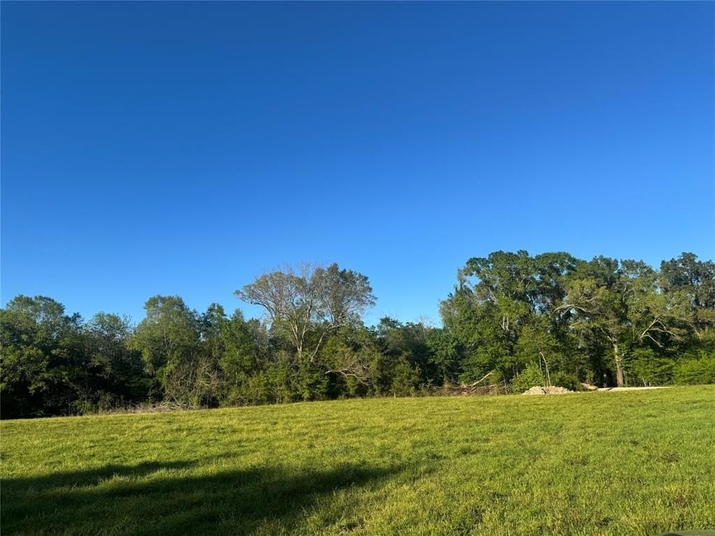 13.6 acres in Titus County gallery image 2