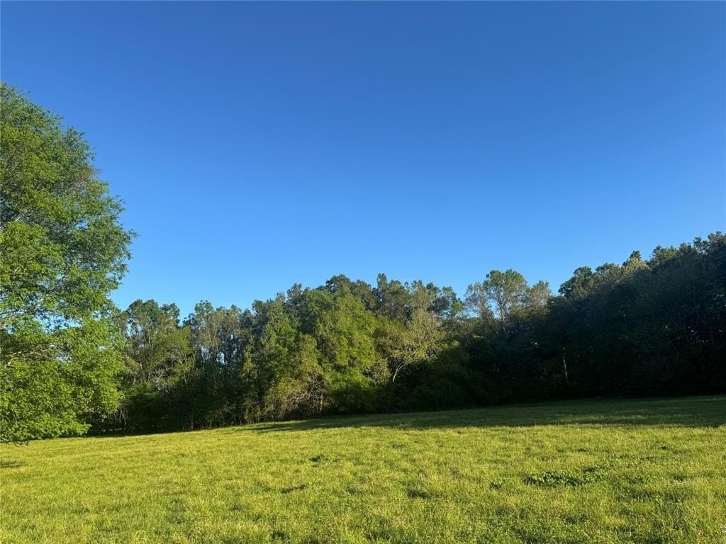 13.6 acres in Titus County gallery image 4