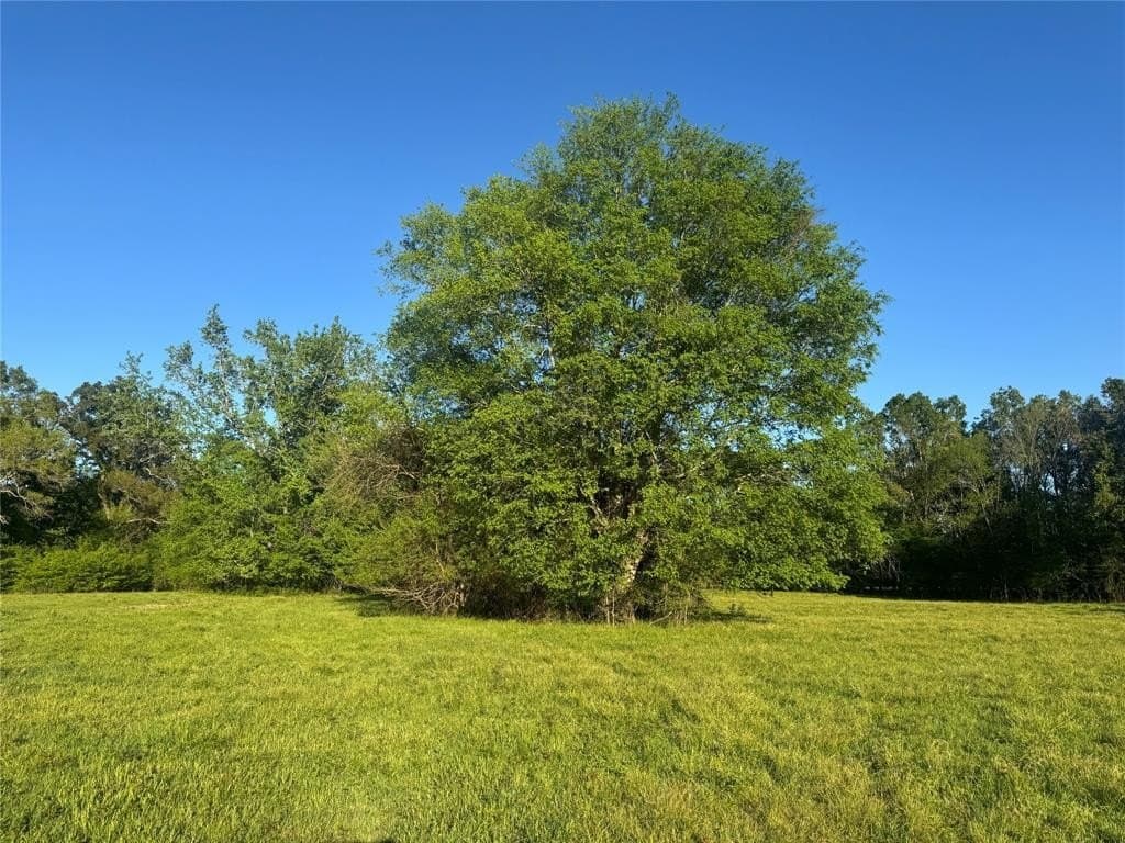 13.6 acres in Titus County gallery image 3