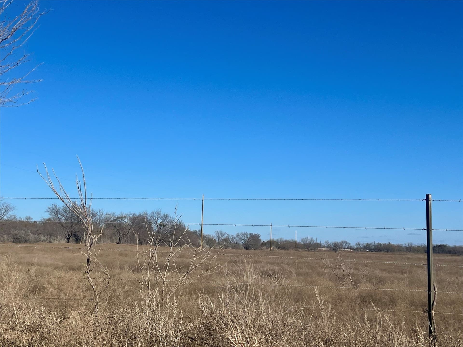 15 acres in Erath County - photo 6