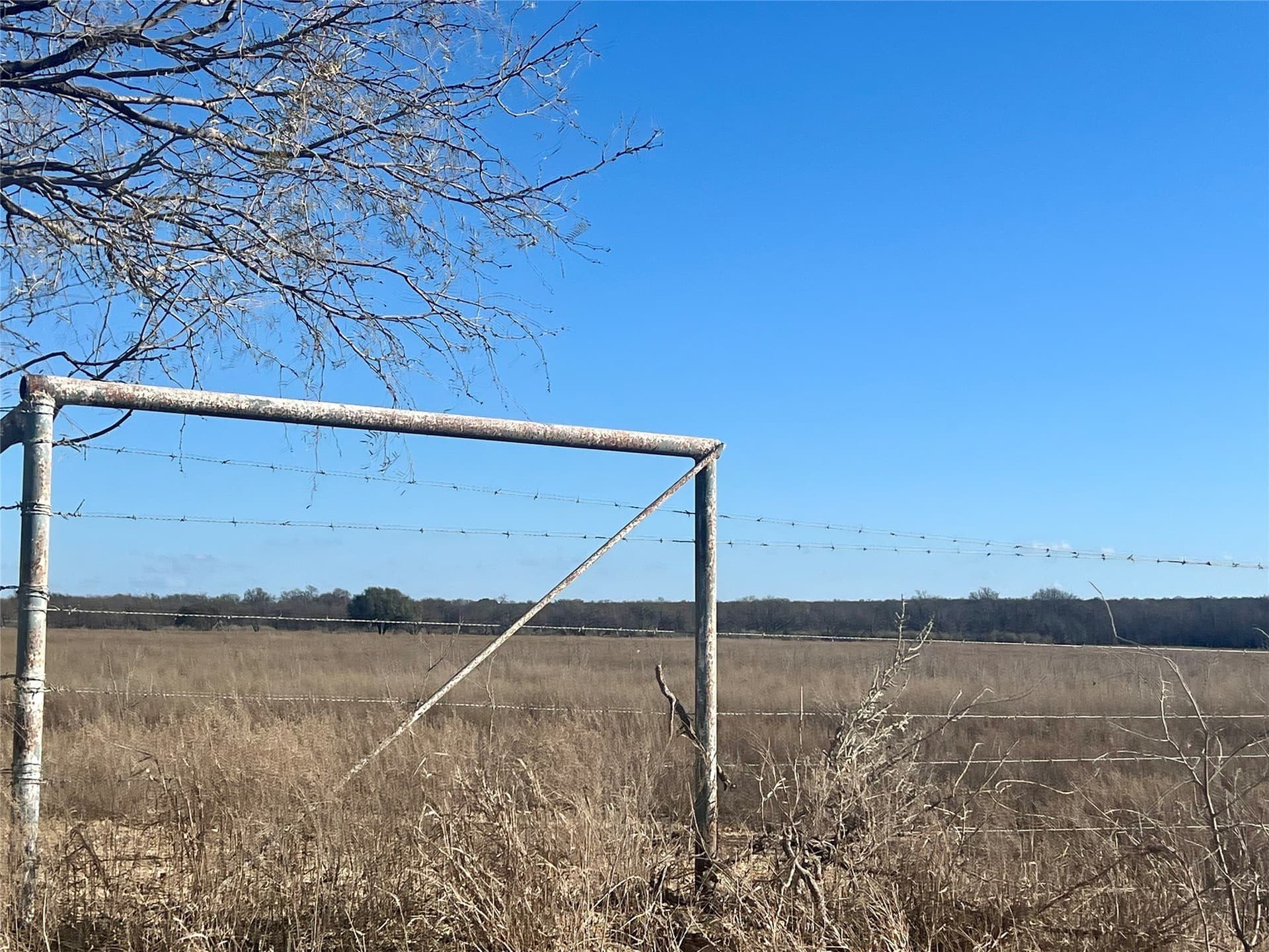 15 acres in Erath County - photo 11