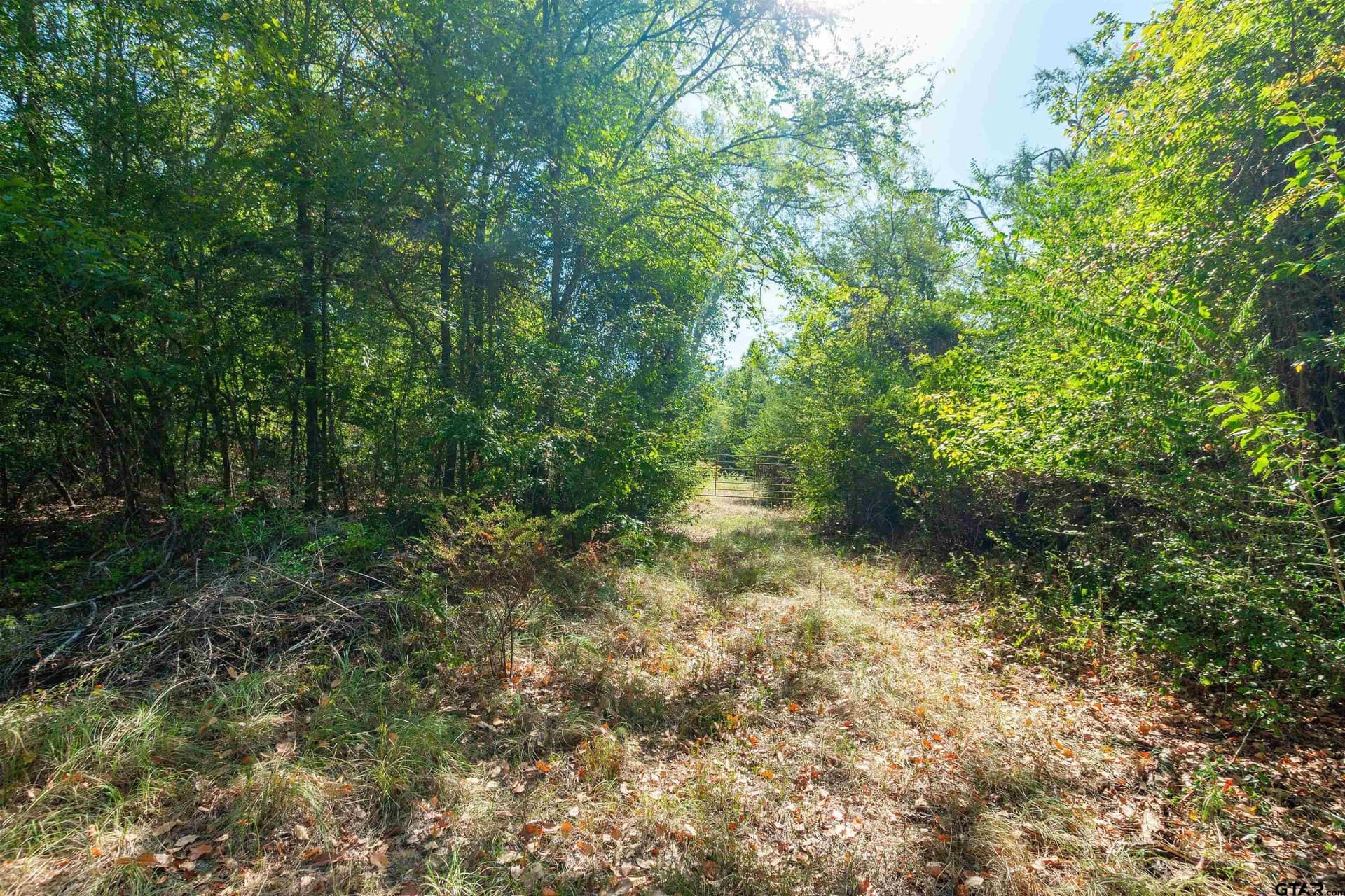 72.19 acres in Van Zandt County - photo 7