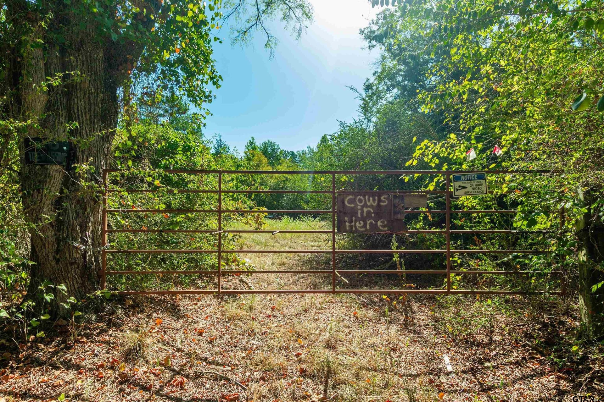 72.19 acres in Van Zandt County - photo 2