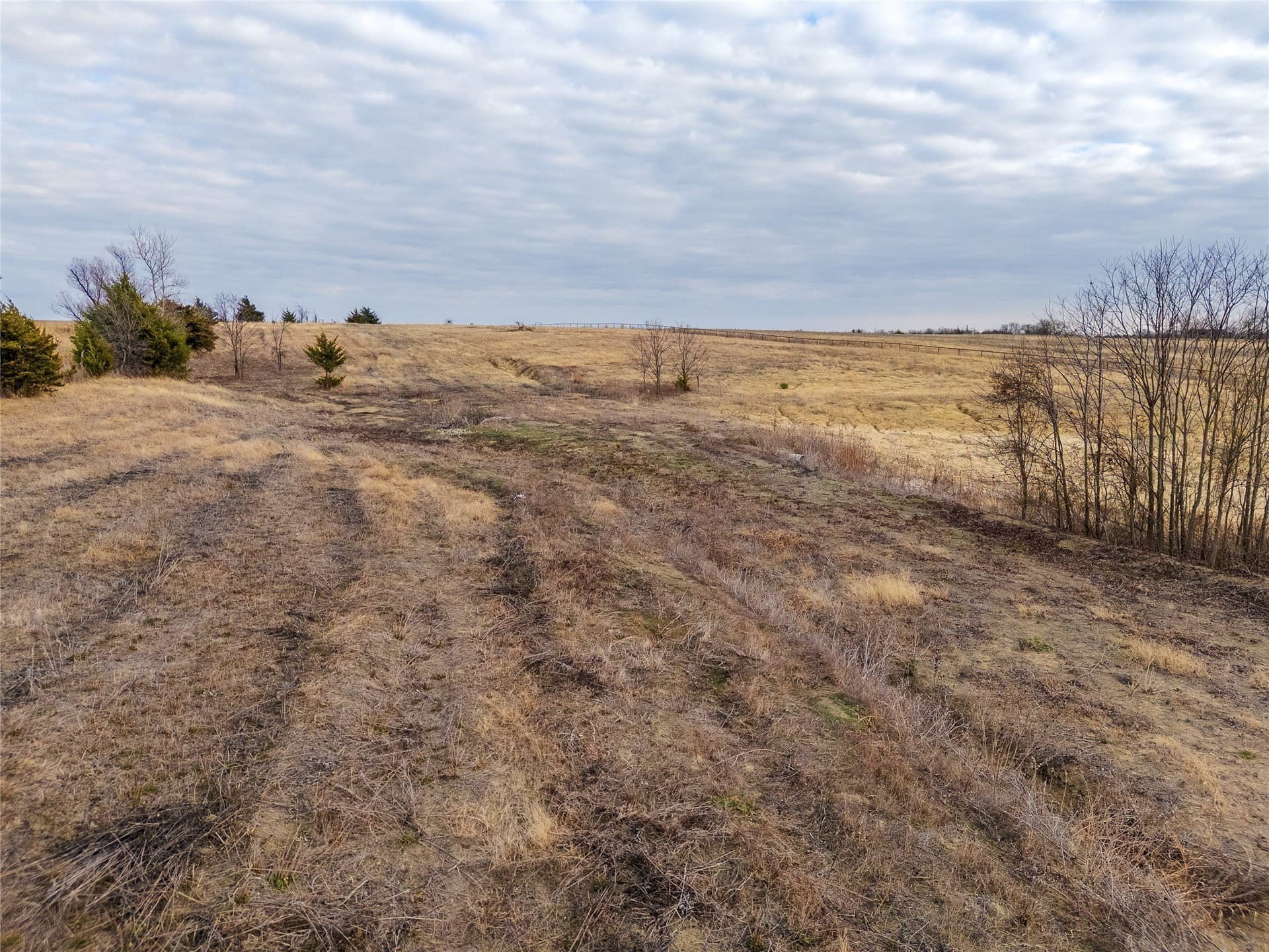 11.64 acres in Fannin County - photo 11