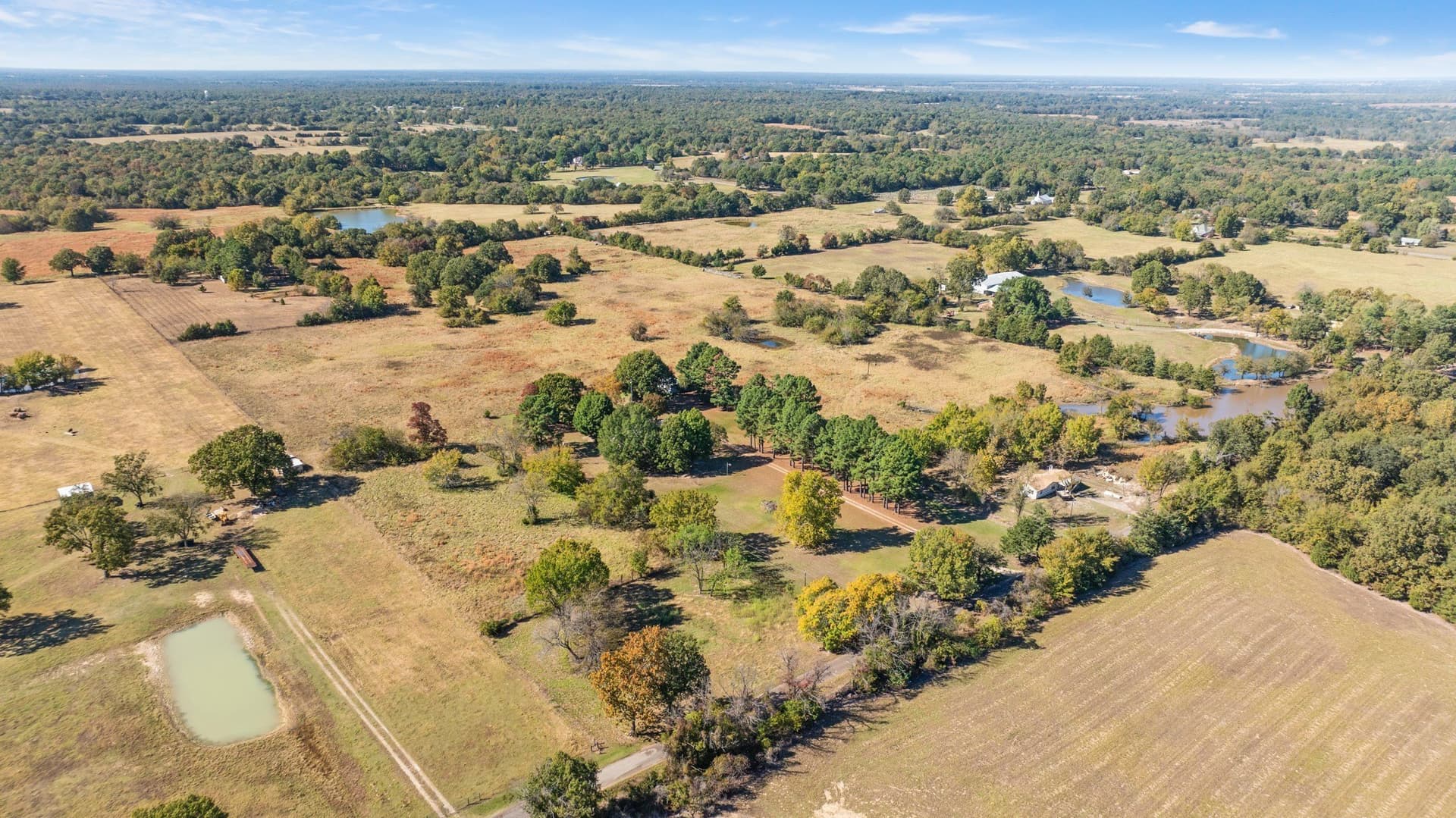 31.38 acres in Lamar County gallery image 3