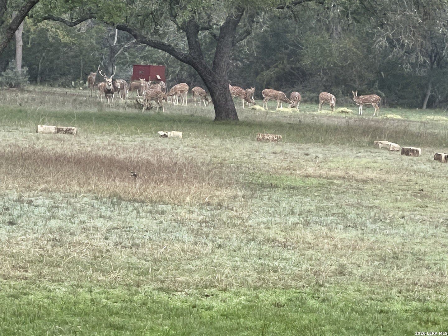 13.94 acres in Kerr County - photo 58