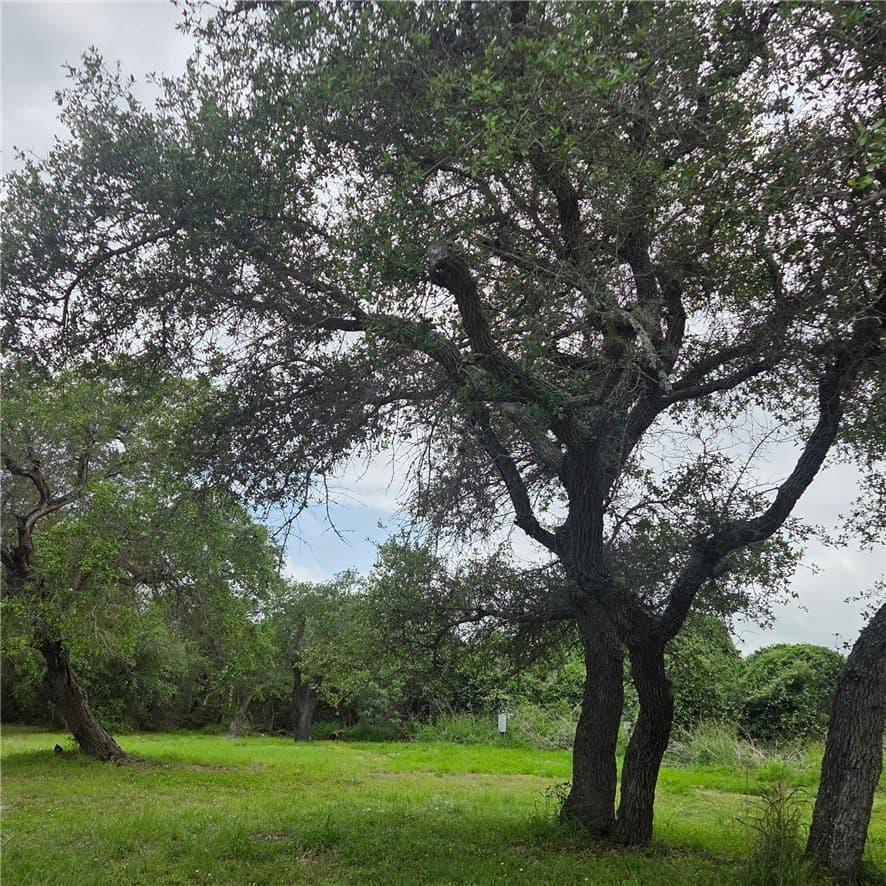 2.42 acres in Aransas County gallery image 3