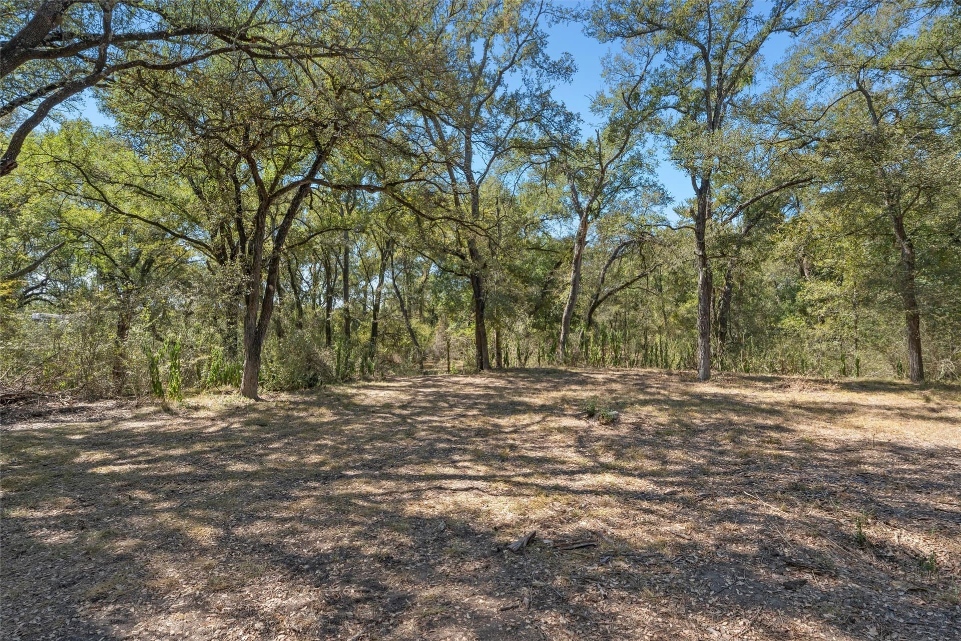 6.75 acres in Falls County - photo 4