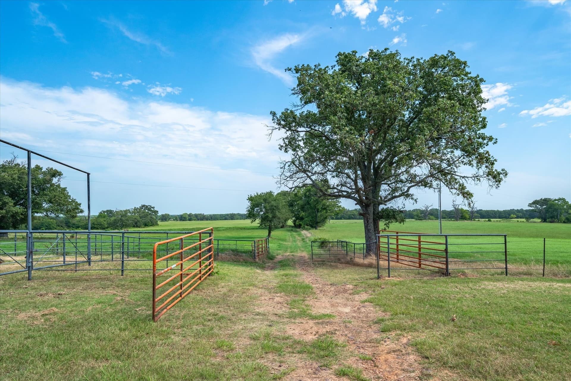 169.61 acres in Van Zandt County - photo 36