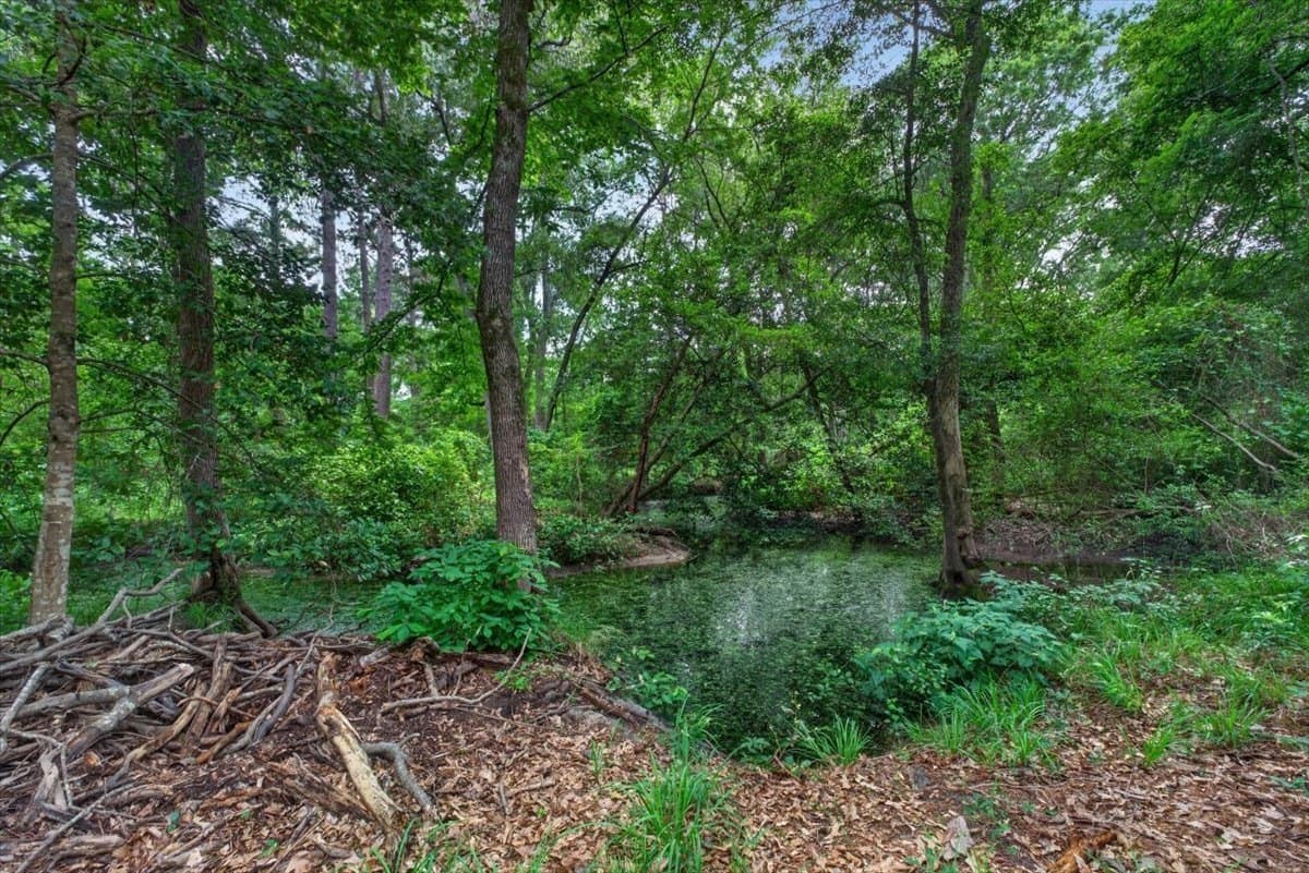 26.05 acres in Henderson County - photo 33