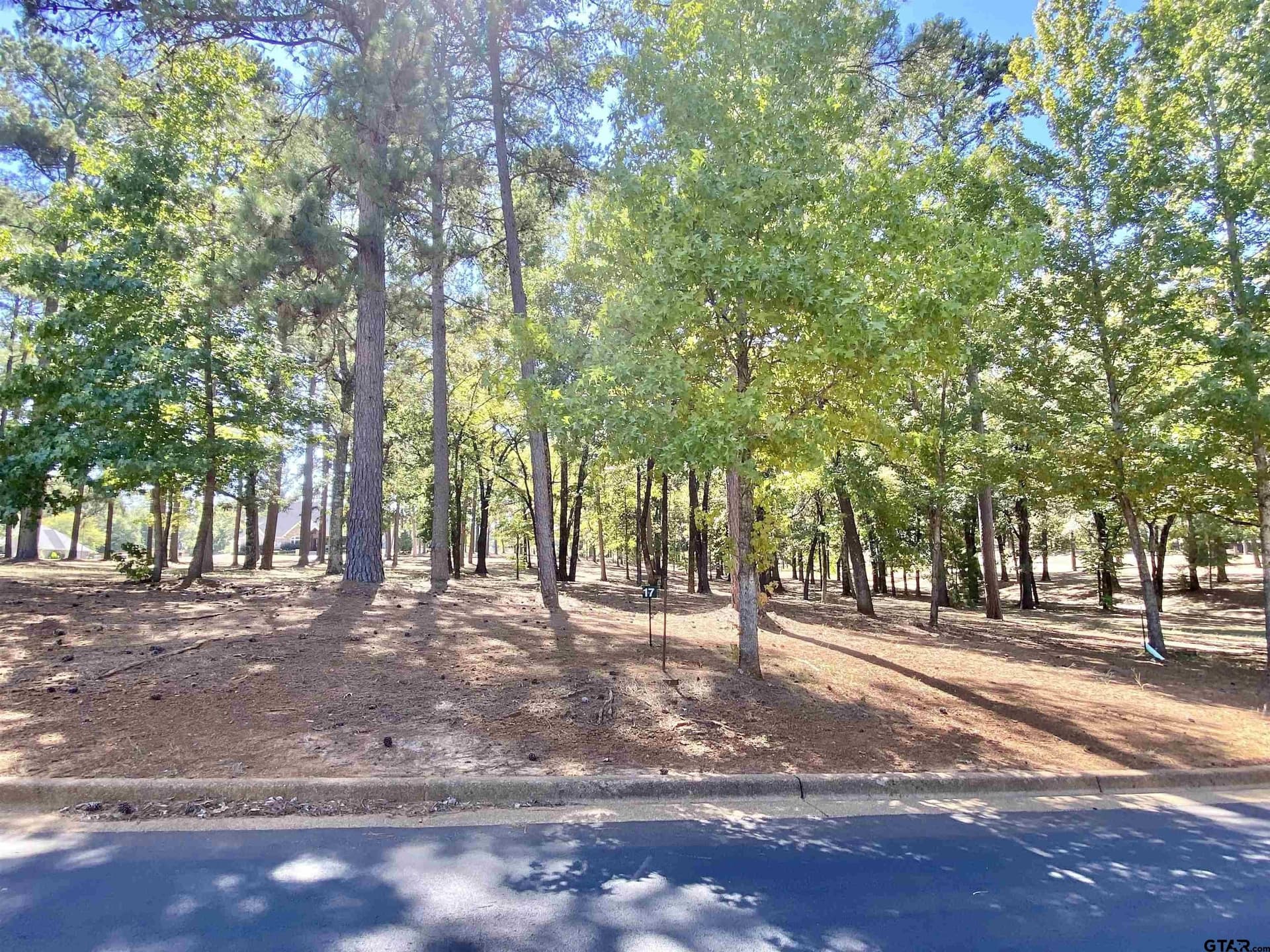 0.46 acres in Anderson County gallery image 3
