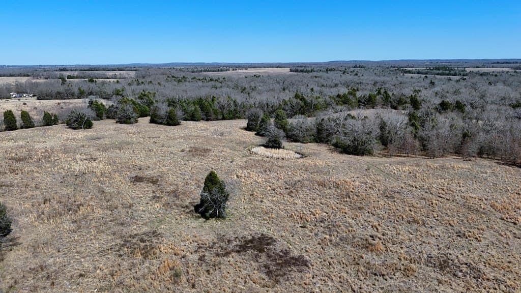 84.48 acres in Henderson County - photo 9