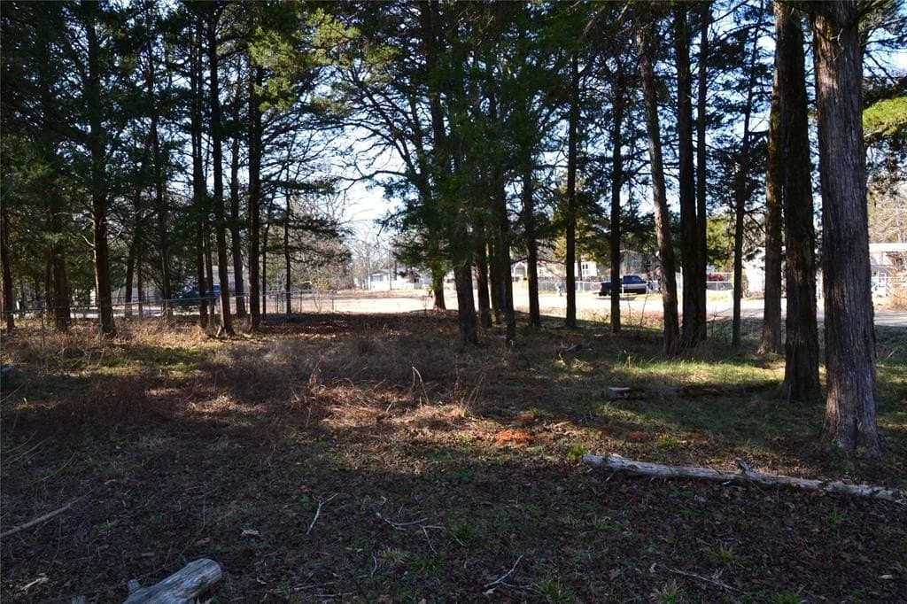 0.65 acres in Van Zandt County gallery image 4