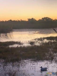 31.5 acres in Aransas County featured view