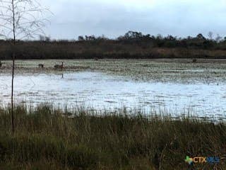 31.5 acres in Aransas County - photo 9