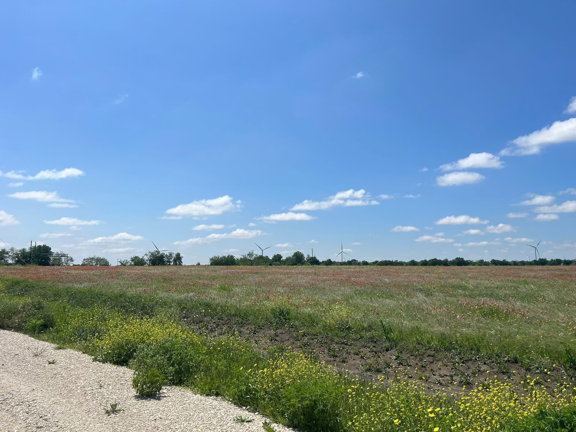 10 acres in Hill County gallery image 4