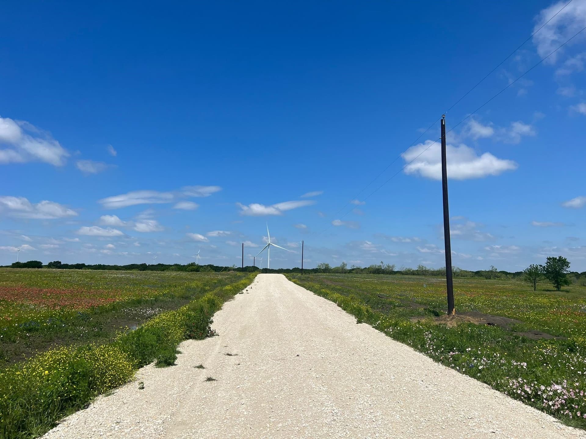 10 acres in Hill County gallery image 3