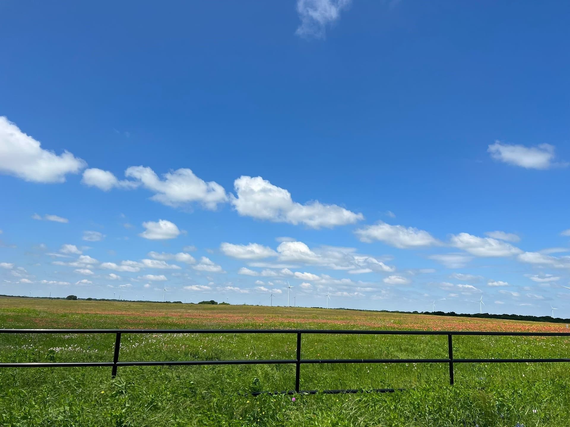 10 acres in Hill County - photo 8