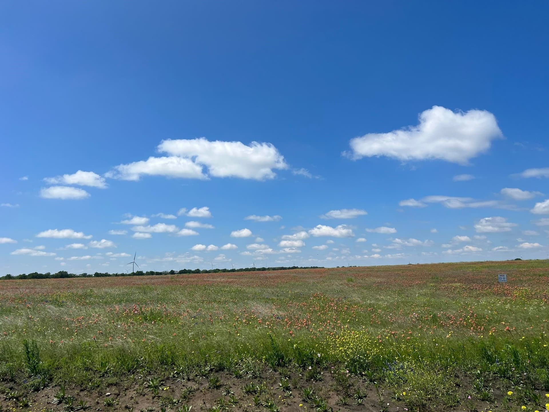 10 acres in Hill County - photo 6