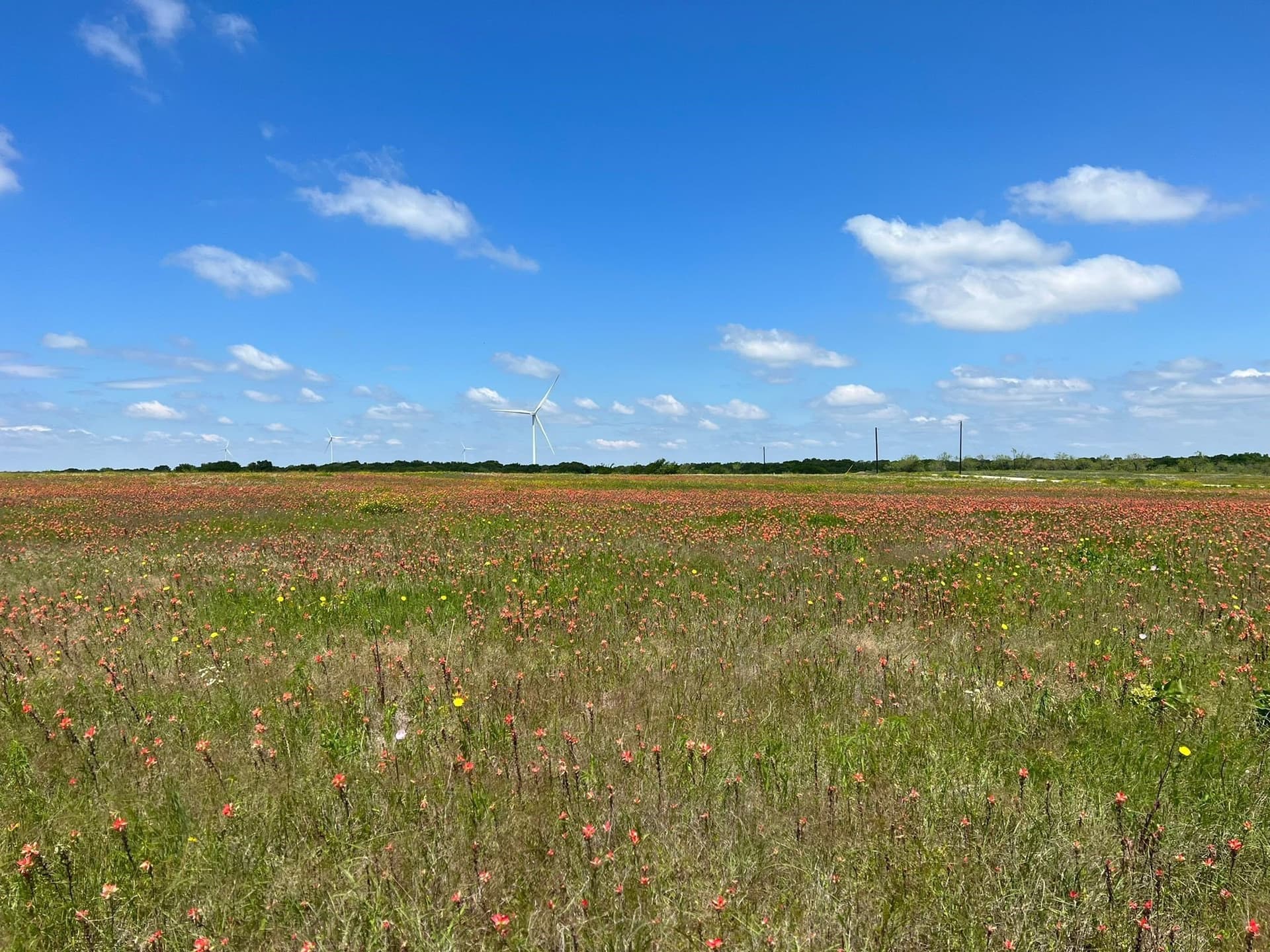 10 acres in Hill County - photo 7